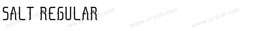 Salt Regular字体转换 Salt Regular字体转换